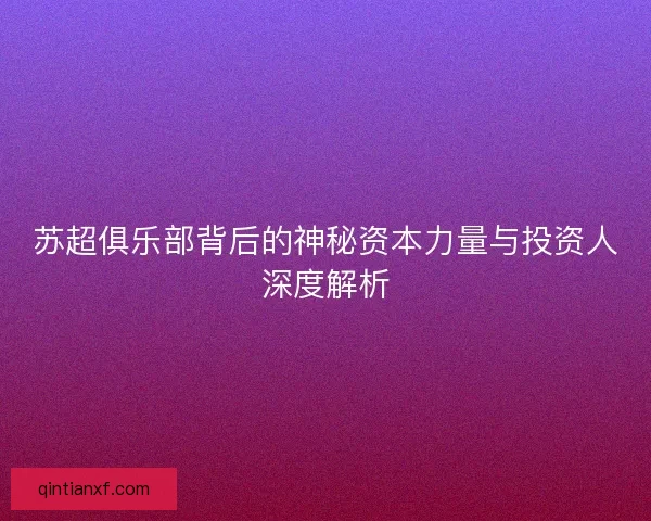 苏超俱乐部背后的神秘资本力量与投资人深度解析